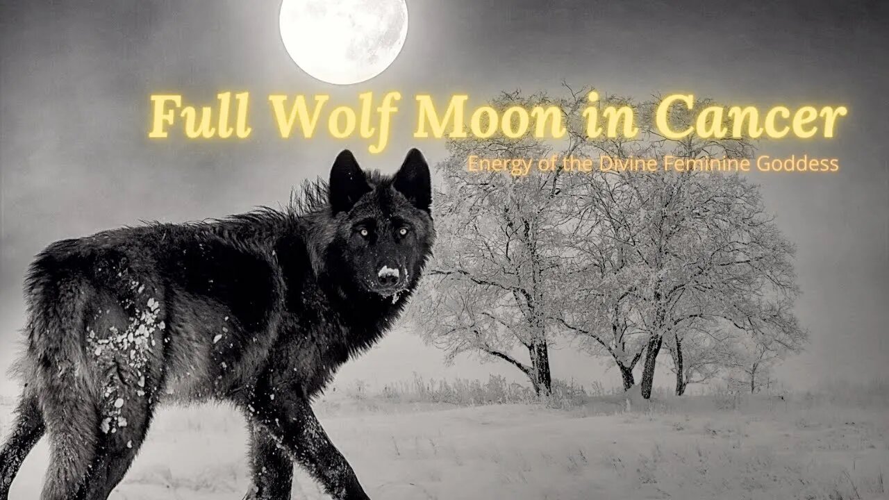 Full Wolf Moon In Cancer {GALACTIC COMMUNICATION} Gene Key 60: Justice