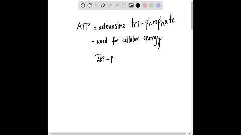 Identify the incorrect statement: a. When ATP becomes ADP +(P), the amount of energy relea