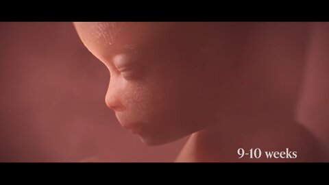 Abortion THE Documentary!!!!