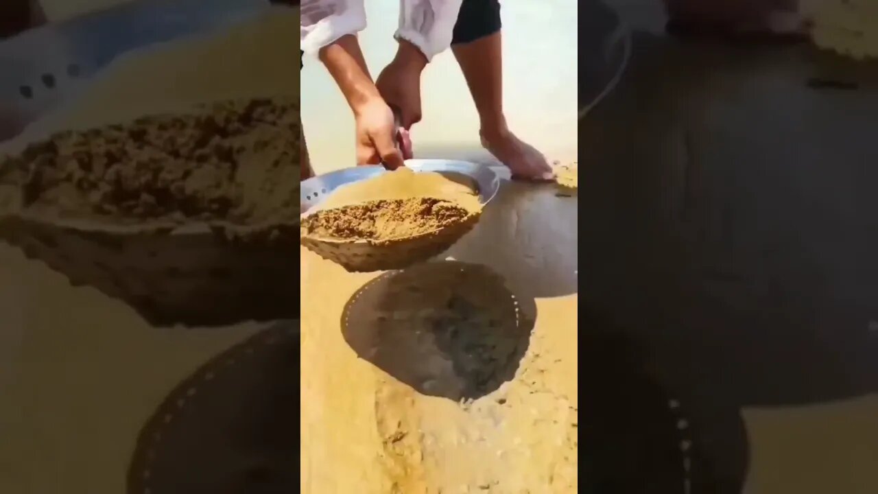 I didn't believe that would be it! Watch until the end and find out for yourself. #shorts