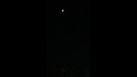 Frogs Sound Off As Total Lunar Eclipse Occurs