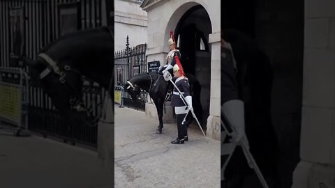 the queen's guard takes out his sword #horseguardsparade