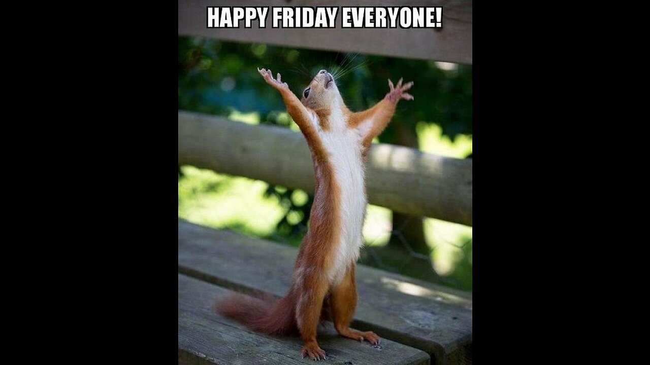 Freakin Friday (3/10/23)