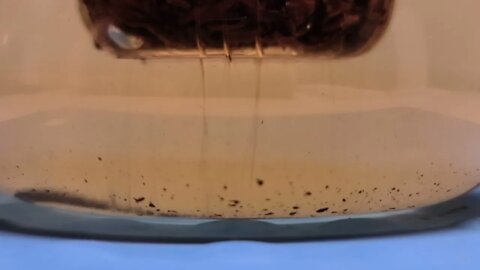 [8K] sugar melting in black tea