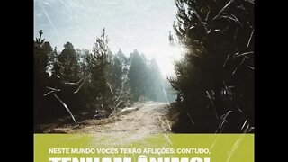 Não Se Surpreenda. #diogorufati #versiculododia #jesus #reflexão #oração #palavra #metanoia #vida