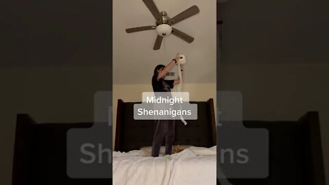 The cat is playing around trying to catch the handkerchief