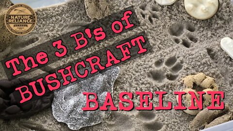 Georgia Bushcraft Virtual Gathering Video 3 - Baseline