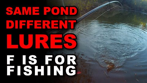 Same Pond Different Lures