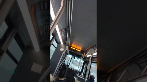 The Nice Bus is busy.