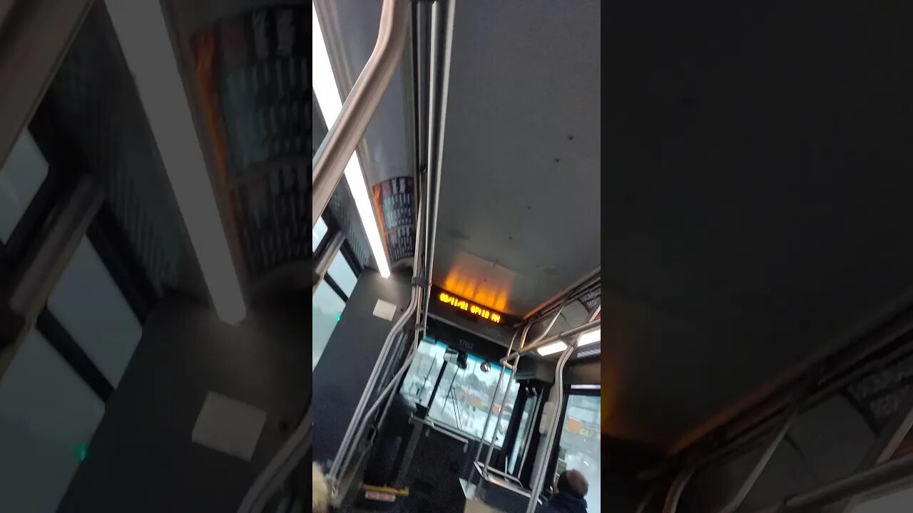 The Nice Bus is busy.