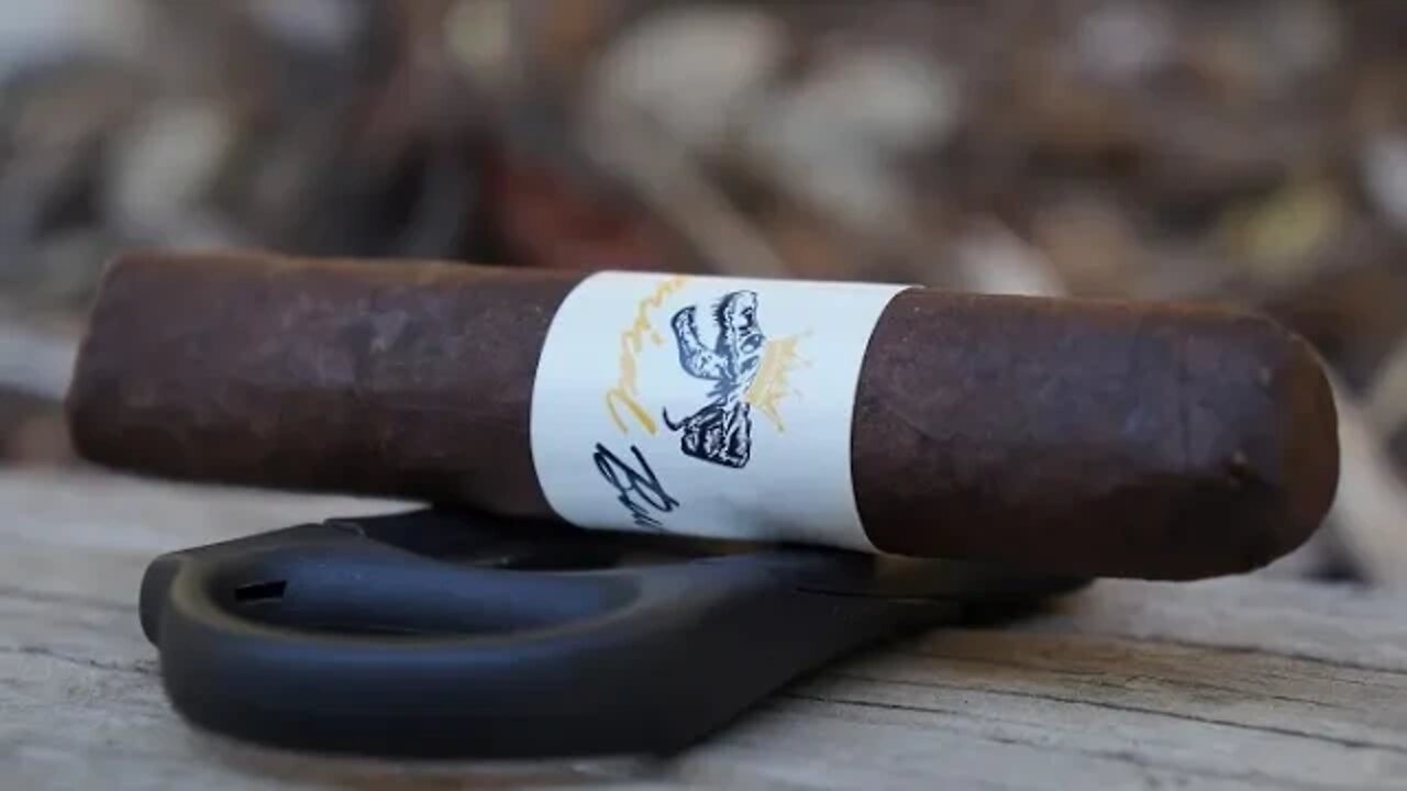 Team Review Recap: Jas Sum Kral Tyrannical Buc Maduro Magnum 48