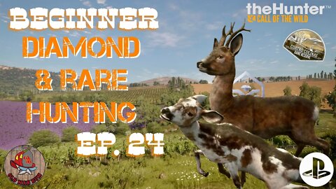 Beginner Diamond & Rare Hunting Ep 24 theHunter Call of the Wild