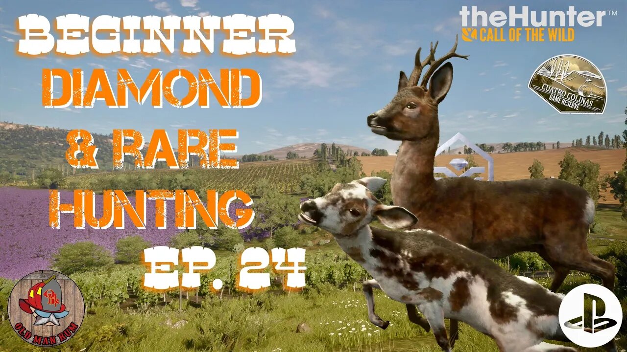 Beginner Diamond & Rare Hunting Ep 24 theHunter Call of the Wild