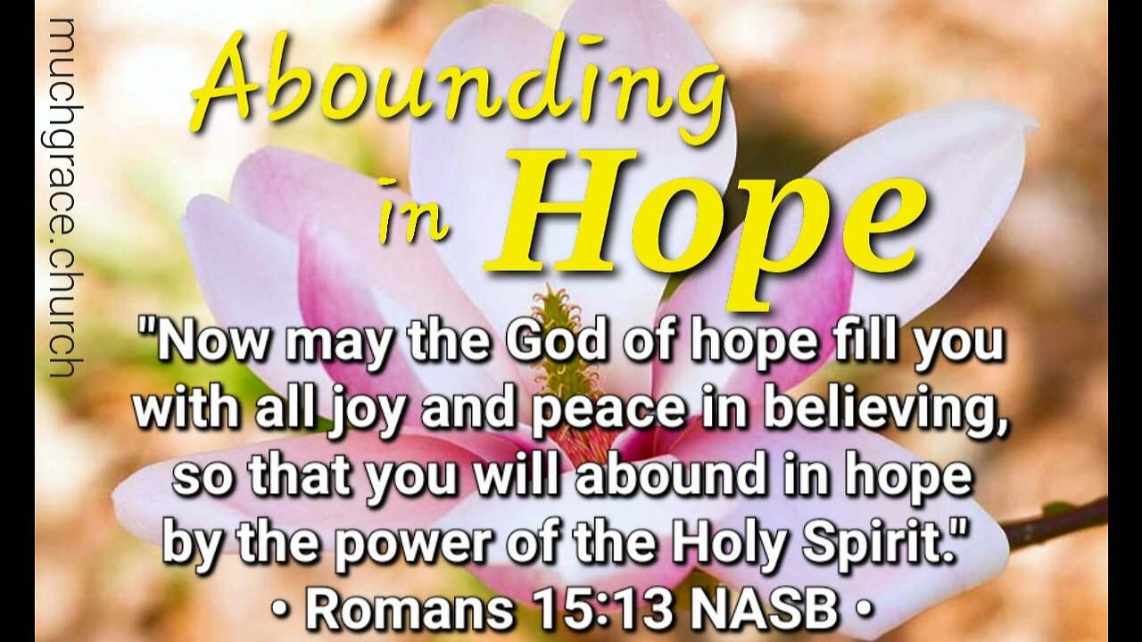 Abounding in Hope (6) : Not Ashamed