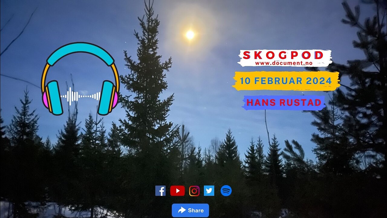 Skogpod 10. feb 2024