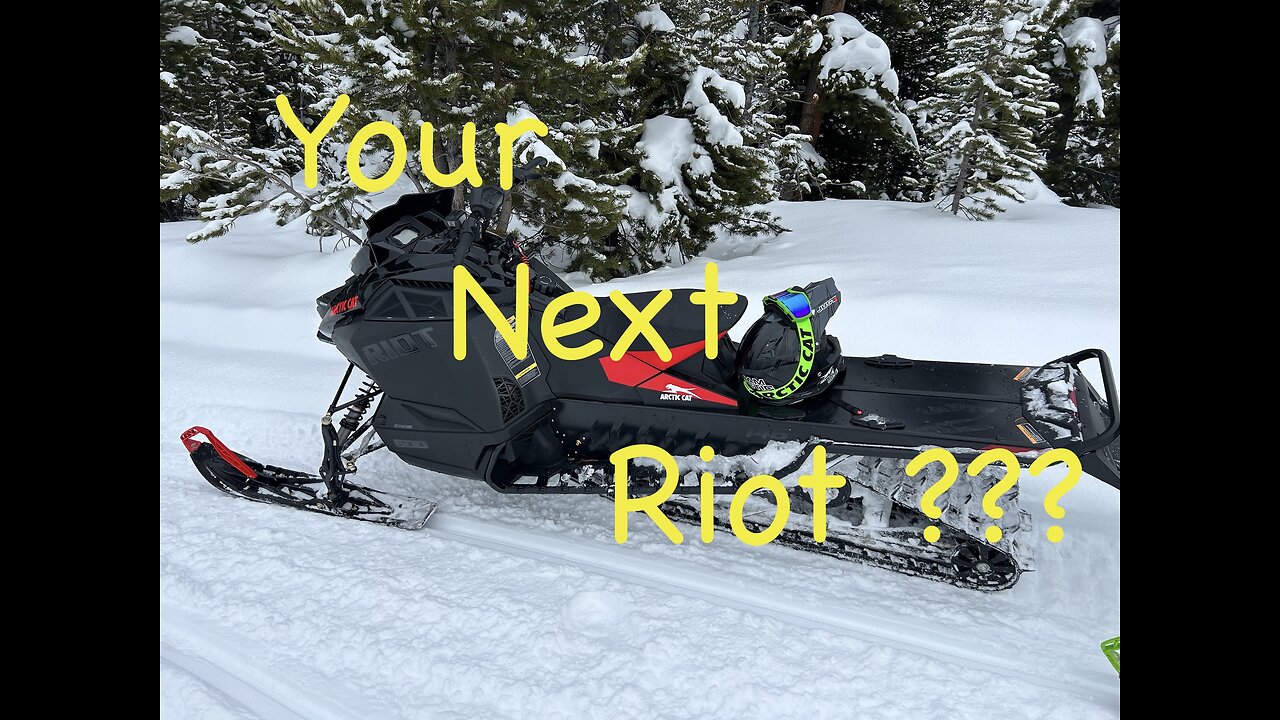 2024 Arctic Cat Riot 600 Review #Catalyst