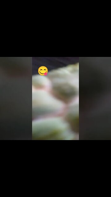 Pinha Gigante e o Galinho Viúvo.