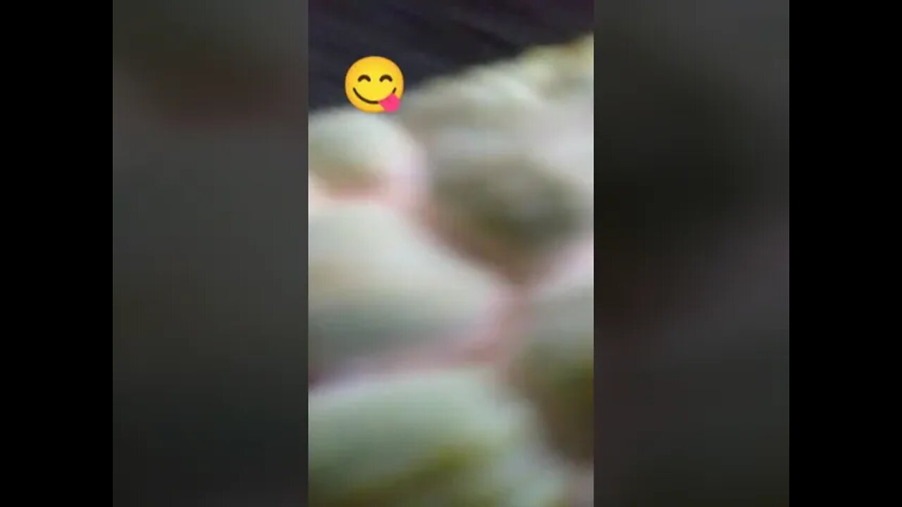 Pinha Gigante e o Galinho Viúvo.