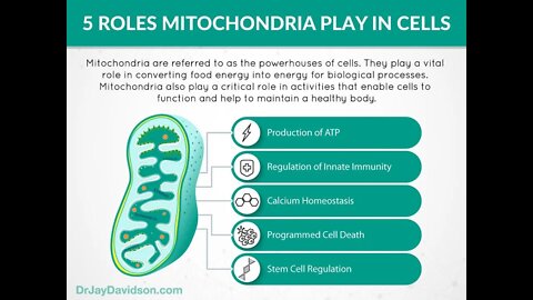 Boosting Mitochondria Function