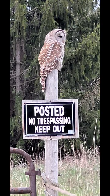 Out here just chillin✌🏻 #nature #outdoors #cool #adventure #hunting #