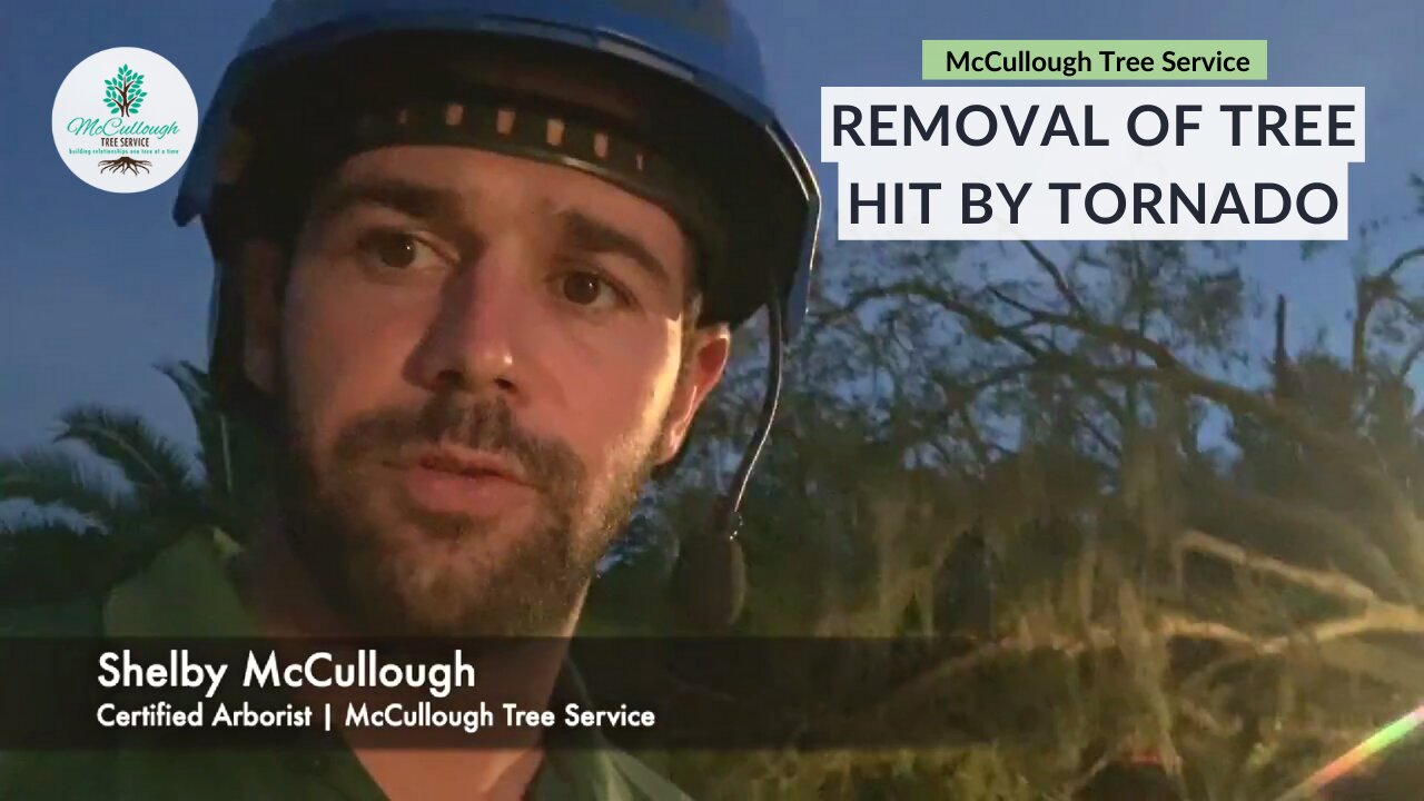 Tornado Hit Oak Tree Removal From Car & House