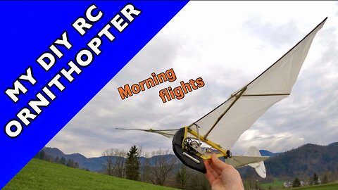 DIY RC Ornithopter