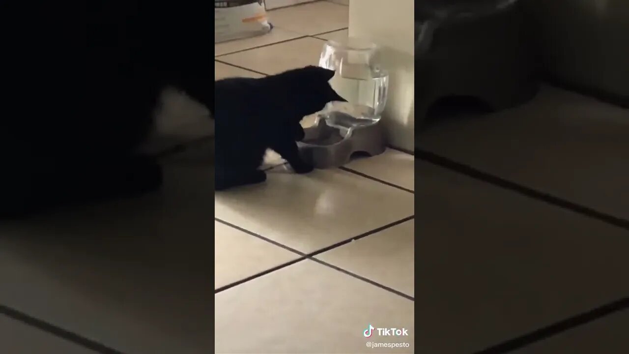 Bubble King