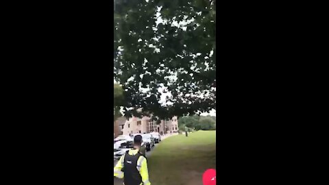 Pelosi visits England and gets the treatment 🤣