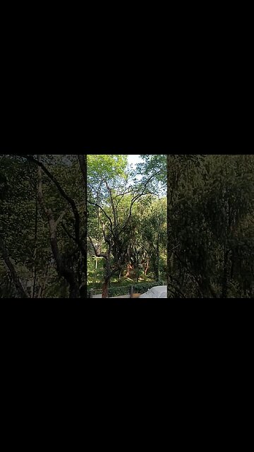 baby relaxing with dad #shortvideo