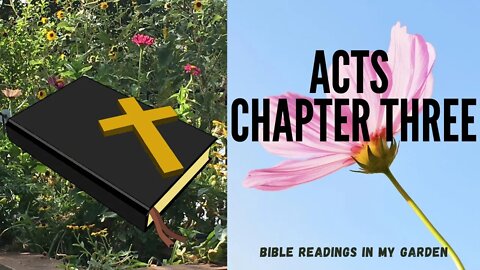 ACTS Chapter 3 | NRSV Bible