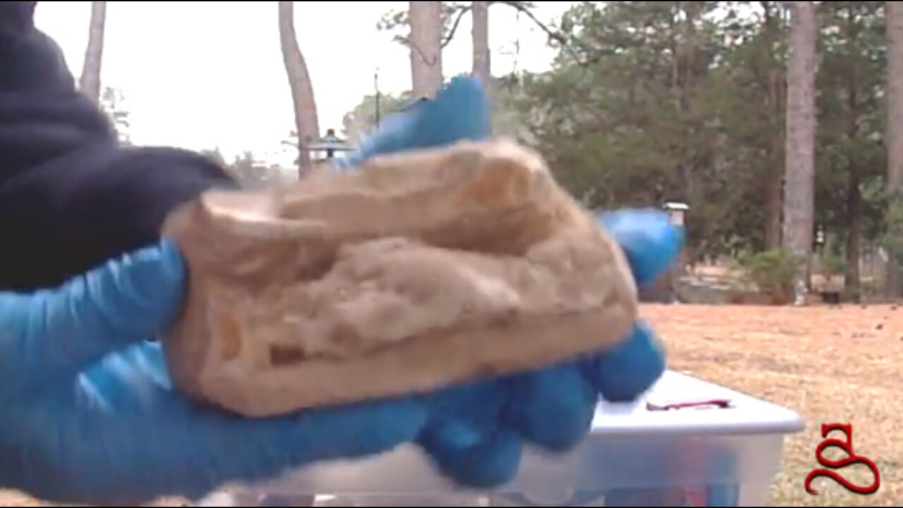 Beginning the 'Harry the Rock' Experiment