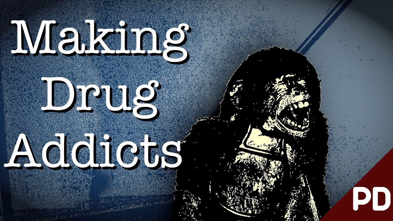 The dark side of the science| the horrific monkey drug exipieriment 1969