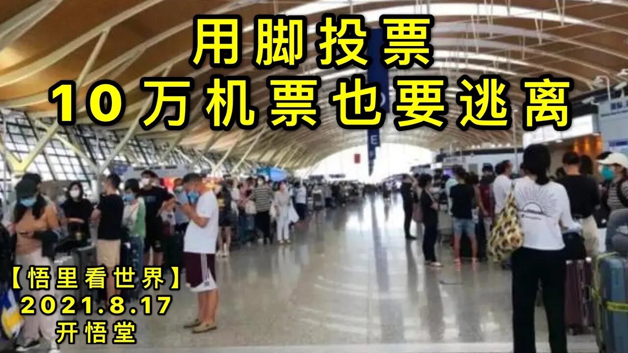 KWT2291用脚投票——10万机票也要逃离20210817-8【悟里看世界】