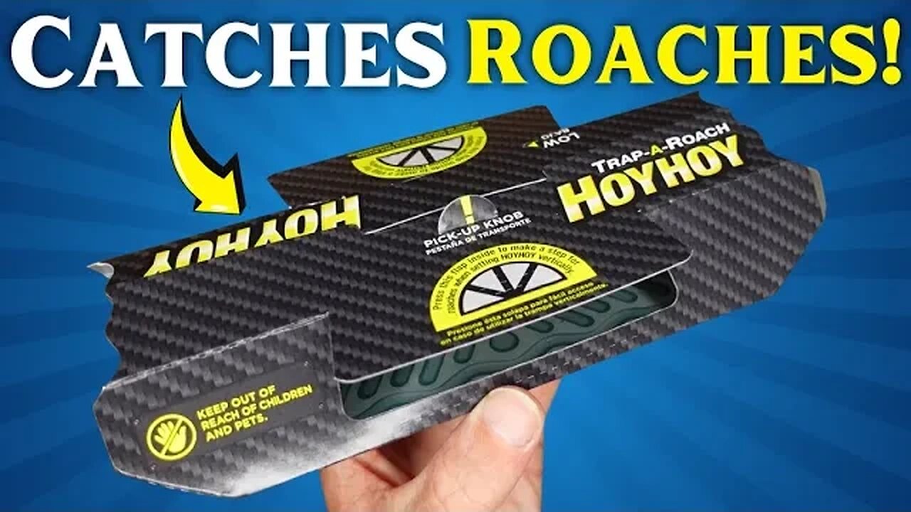 HOY HOY Trap A Roach: HOW TO SET IT UP and ASSEMBLE Your Glue Trap!