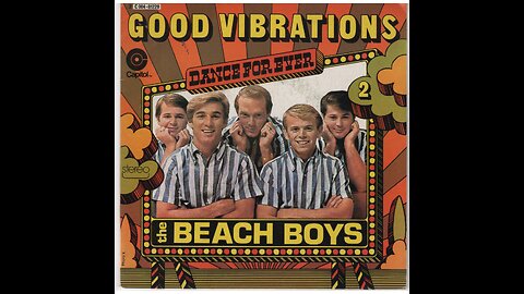 ~Good Vibrations~