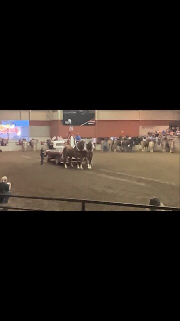 14 seconds of Horsepower in slow motion