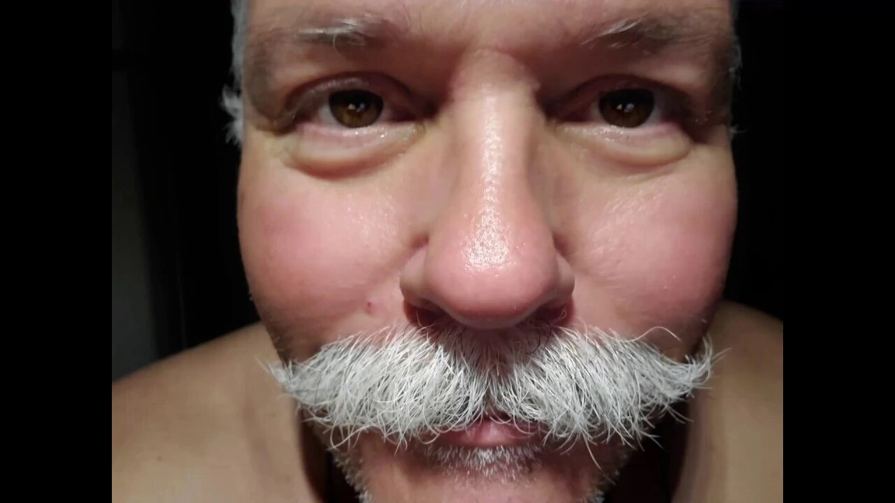 PAVEL MOUSTACHE MAY 5 TO JUNE 4 2020