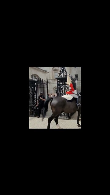 She moves out of the way #horseguardsparade