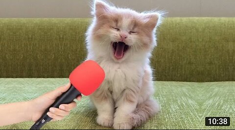 World best singing dog ever