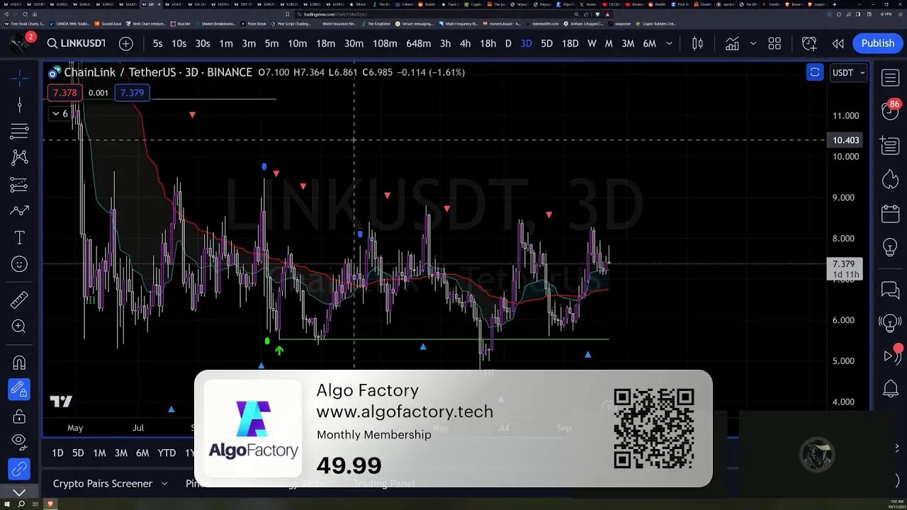 Daily Live Lab for Beginner Traders