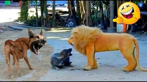 Funny Dog l Fake Tiger and Lion Prank on Dog