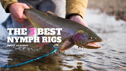 The Best 3 Nymph Rigs