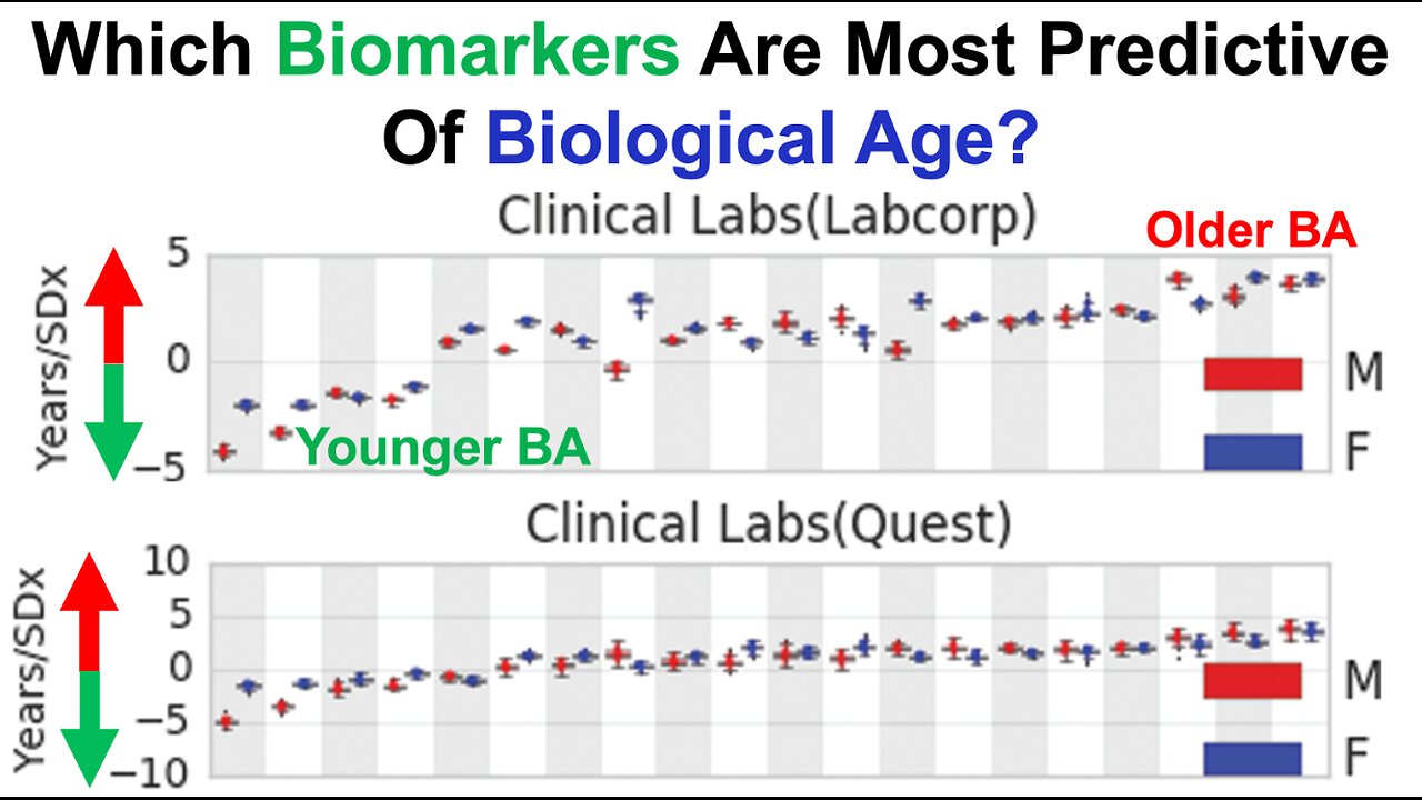 Which Biomarkers Are Most Predictive Of Biological Age?