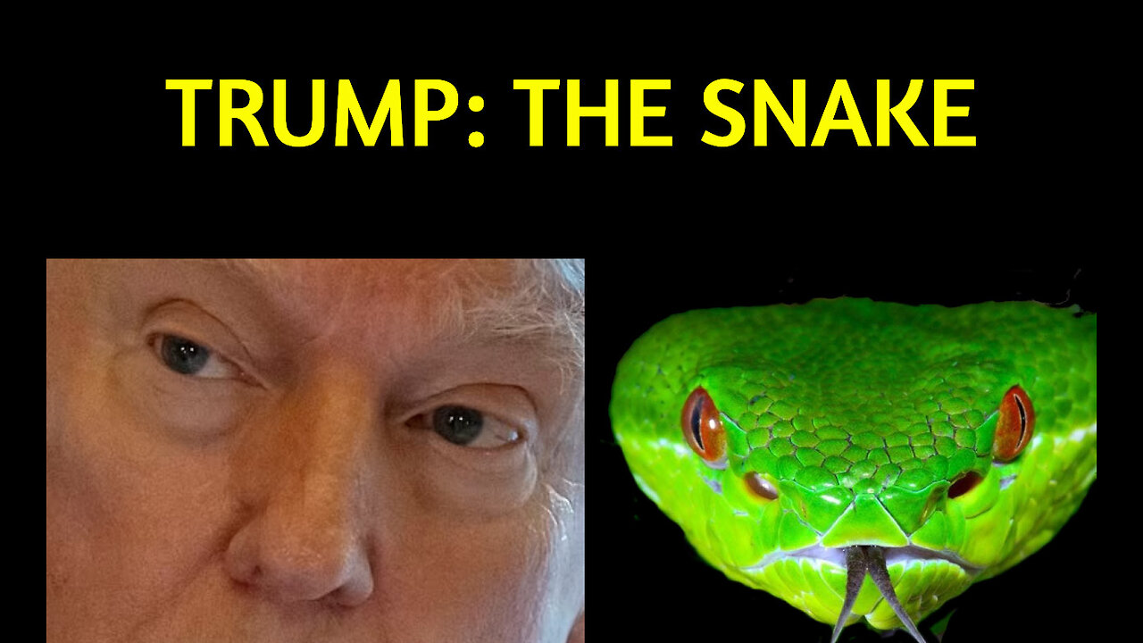 Trump: The Snake