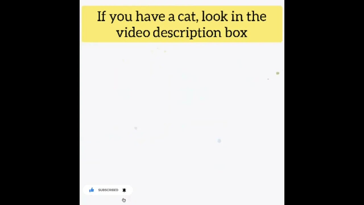 cute cat videos 😹 funny videos 😂96