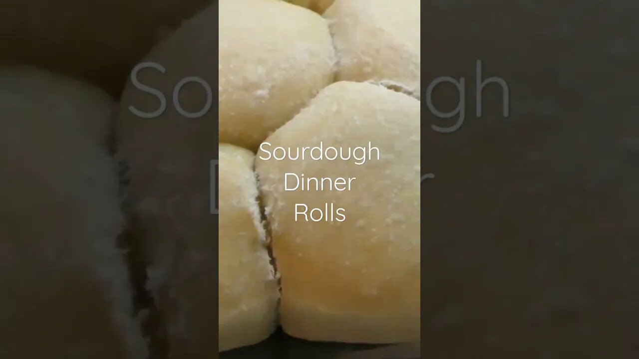 Sourdough Dinner Rolls #sourdough #dinnerrolls #fromscratch