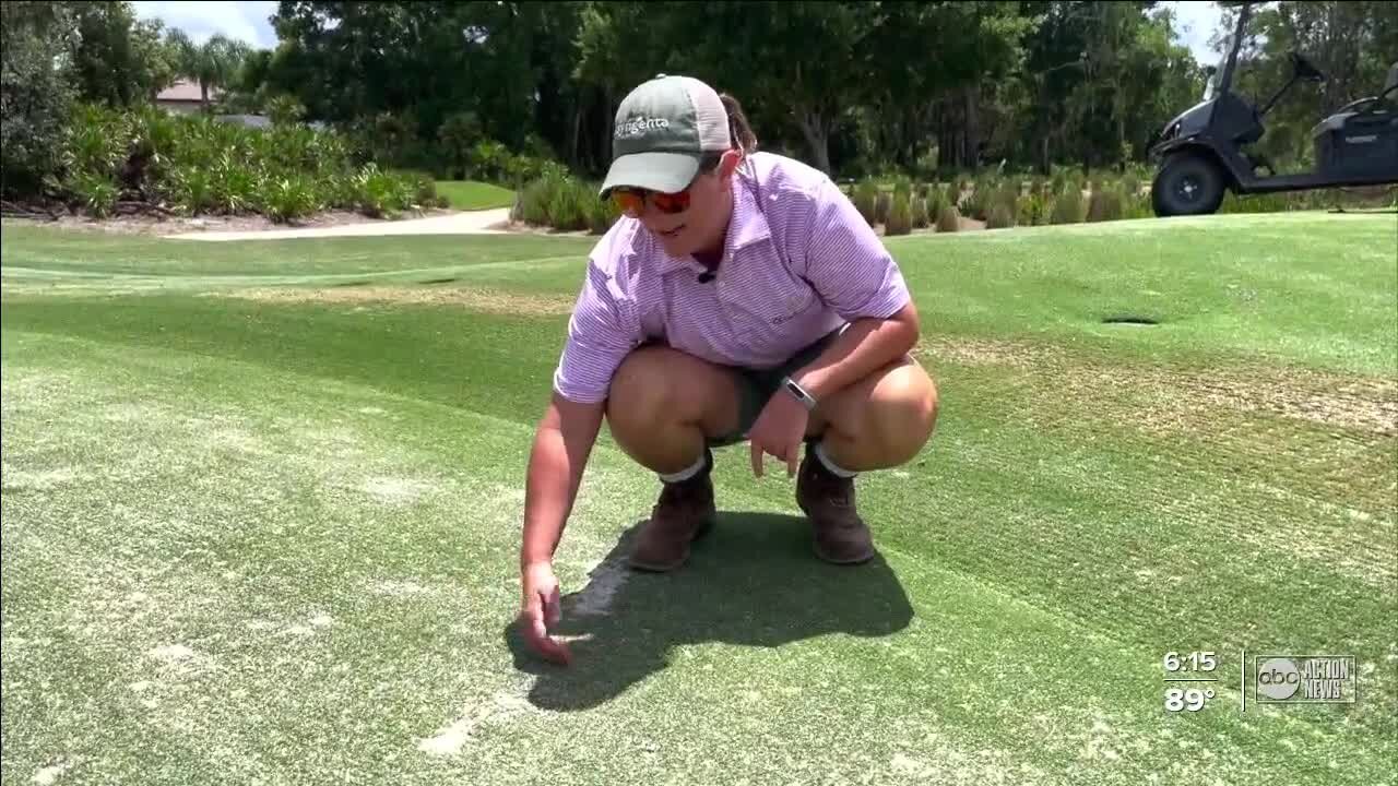 Tampa golf course superintendent volunteers with all women group at US Women's Open