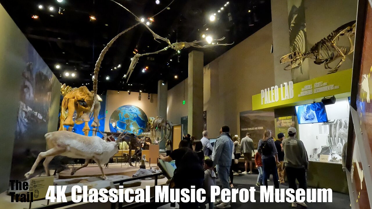 4K Classical Music | Texas | Walk Perot Museum Dallas Prehistoric Level 4 | 20230218