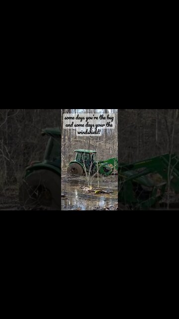 Today I’m the bug￼