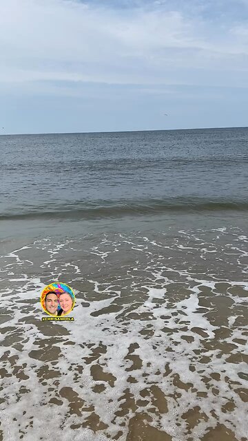 DO YOU SEE THE HUMPBACK WHALE?